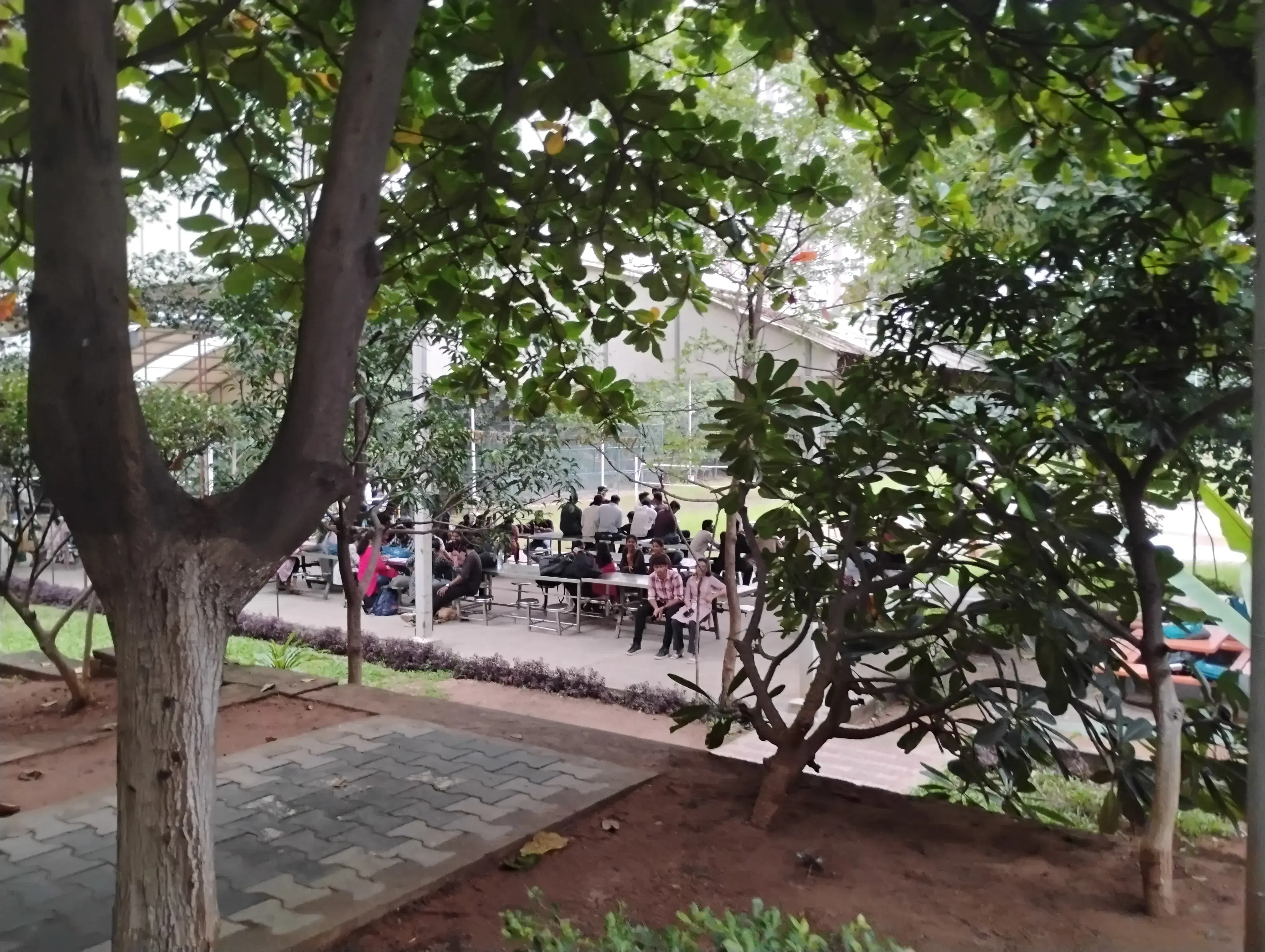 VNRVJIET Campus photo 12